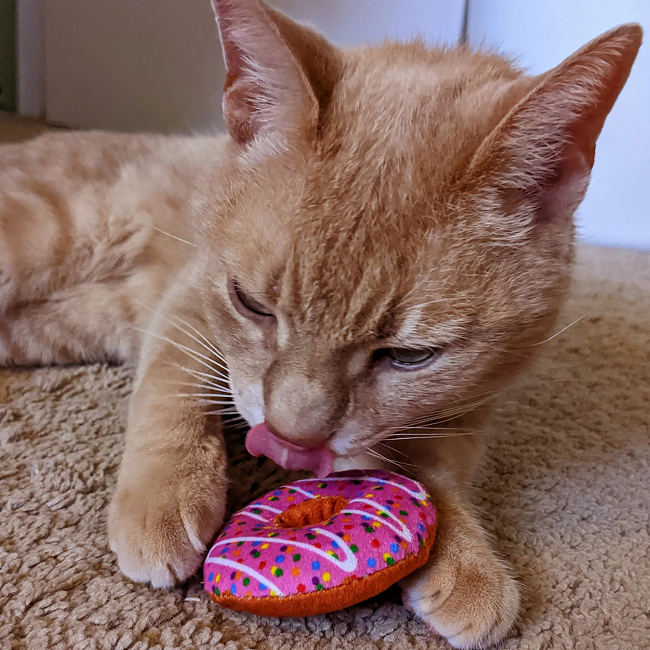 Strawberry Donut Cat Toy