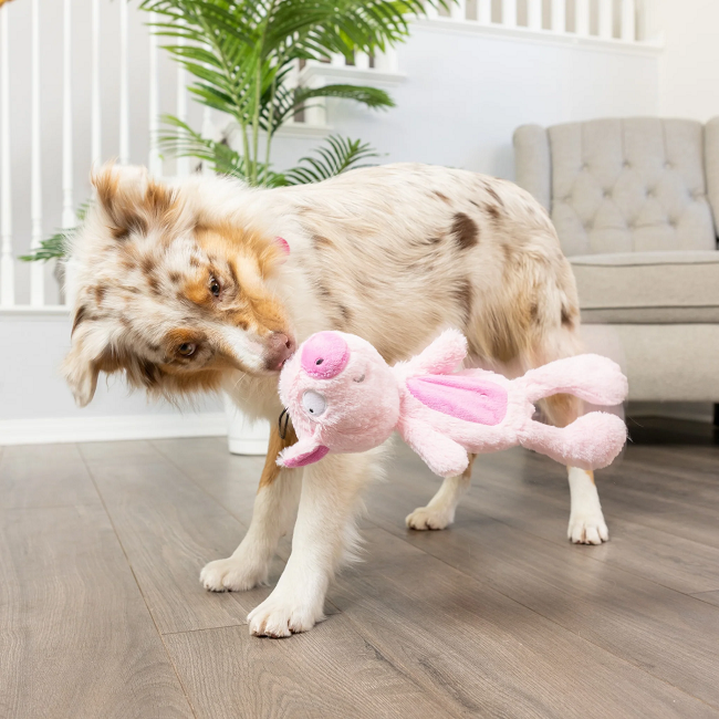Slappies Piggie Smalls Dog Toy