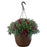 Hanging Basket Mum, 11-Inch Pot