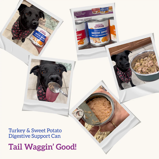 Health Extension Digestive Support Dog Food, Turkey & Sweet Potato Entrée in Gravy 9oz Can