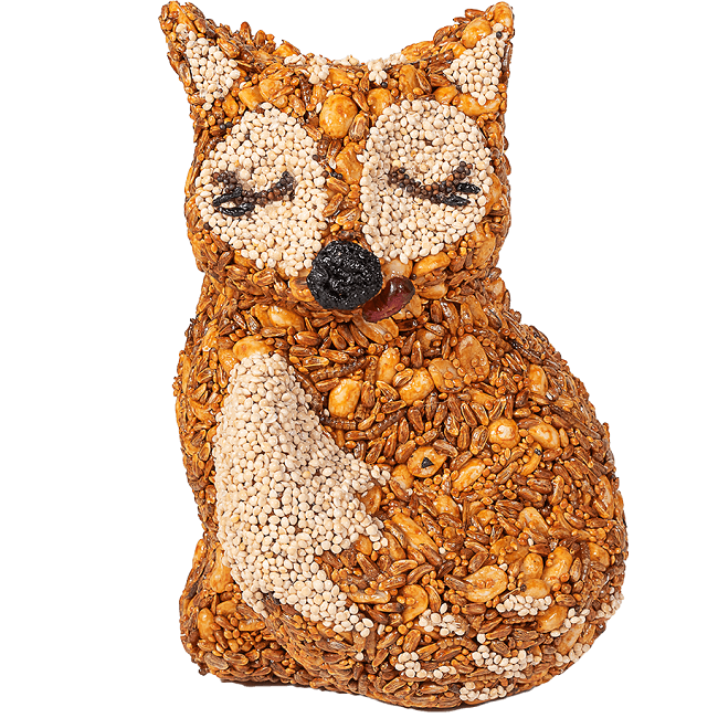 Mr. Bird Hot Foxy Bird Seed Treat 24 oz
