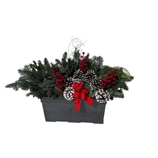 Holiday Leonardo Window Box Planter