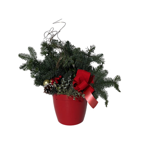 Holiday Delilah Red Planter, 6-Inch
