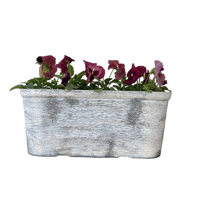 Pansy Oval Planter, 16-inch