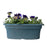 Pansy Oval Planter, 16-inch