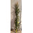 Decorative Cornstalk Bundle