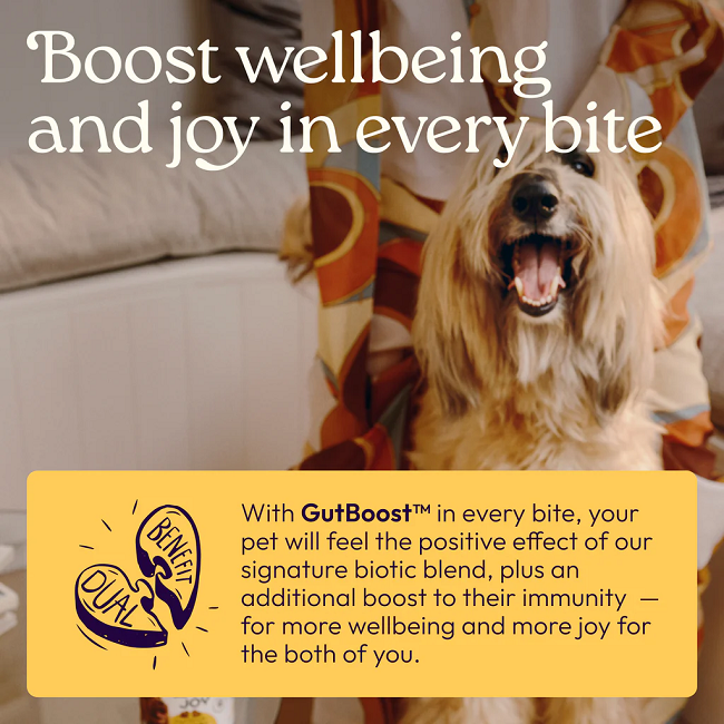 Welljoy Immune+ Dog Supplement 11.1 oz 90 count