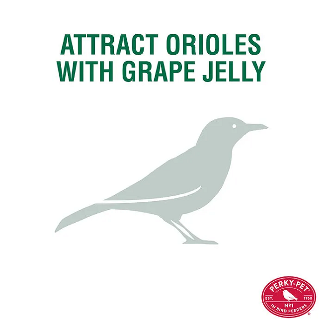 Perky-Pet® Oriole Jelly Wild Bird Feeder