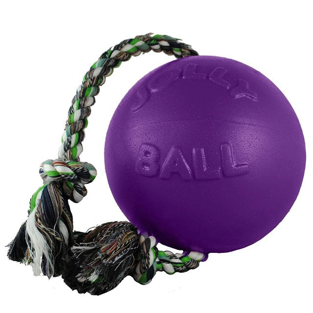 Jolly Pets Romp-N-Roll Ball, Purple 6 inch