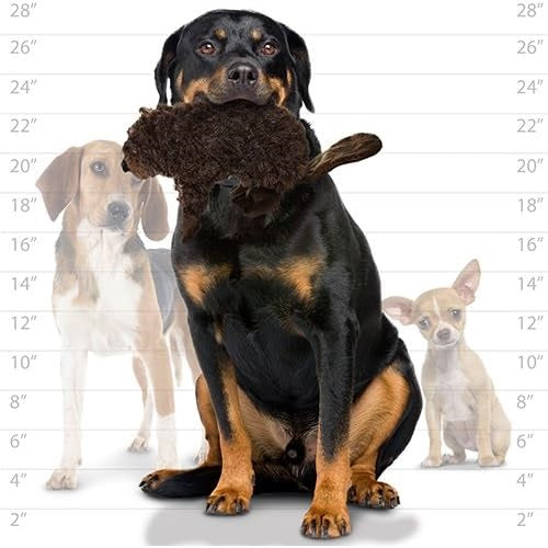 Mighty® Nature: Beaver Dog Toy by Tuffy