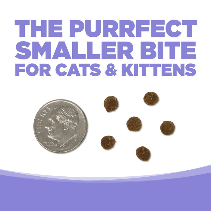 NutriSource Cat & Kitten Grain Free Chicken & Salmon 4lb