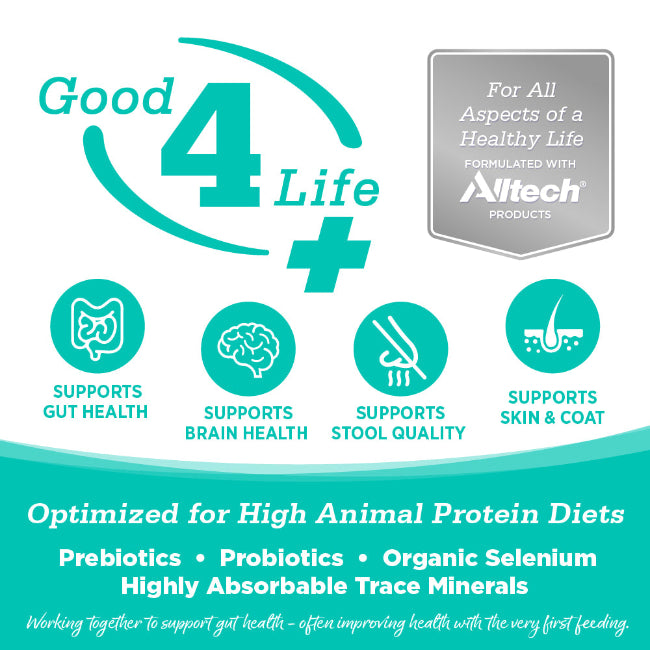 NutriSource Cat & Kitten Grain Free Country Select 4lbs