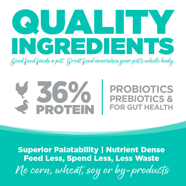 NutriSource Cat & Kitten Grain Free Country Select 4lbs