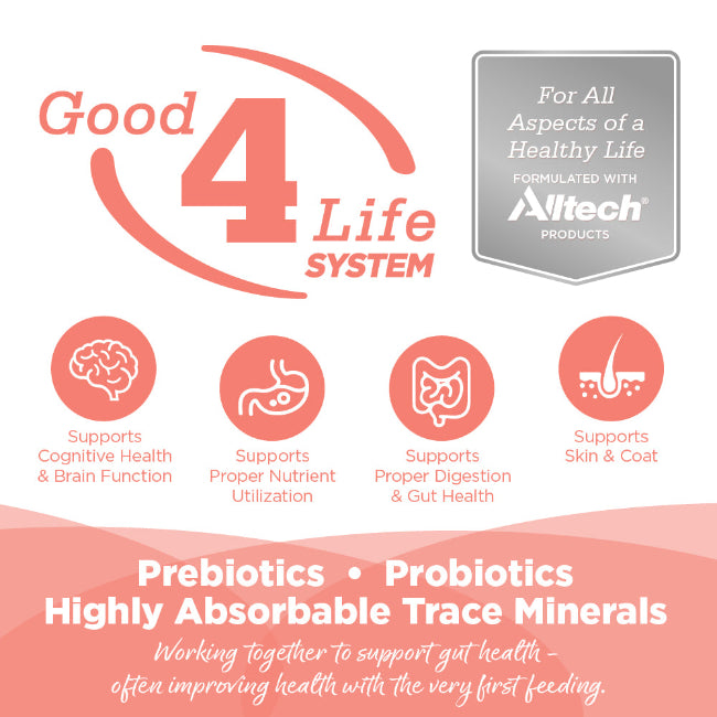 Nutrisource Grain Free Ocean Select Cat & Kitten Food 5.5oz Can