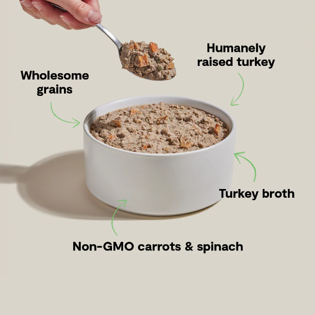 Open Farm Goodbowl™ Homestead Turkey Pâté for Dogs 12.5-oz Can