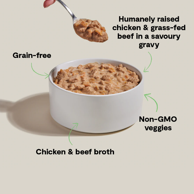 Open Farm Chicken & Grass-Fed Beef Hearty Stew Wet Dog Food 12.5-oz Can