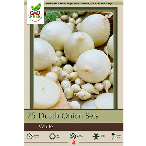 Dutch Onion Sets "White" - 75-count