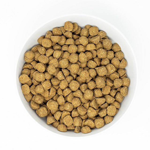 Stella & Chewy's Raw Coated Wholesome Grains Baked Kibble Beef Recipe Dog Food