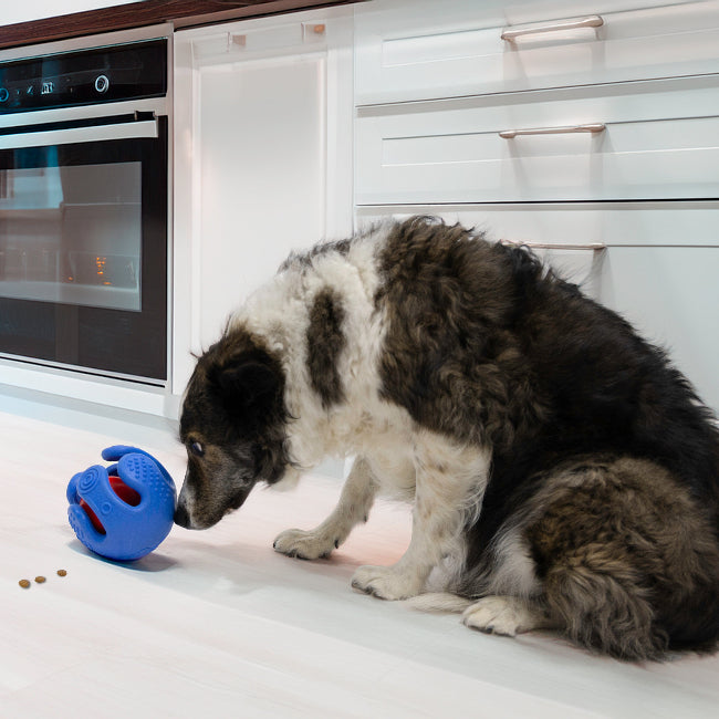 KONG Rewards Wrapz Dog Toy