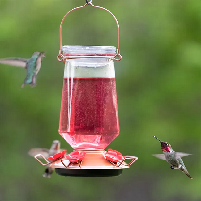 Perky-Pet® Hummingbird Nectar Ready-to-Use Red 16 oz Can