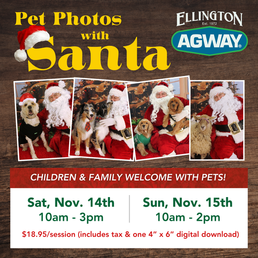 Pet Portraits with Santa