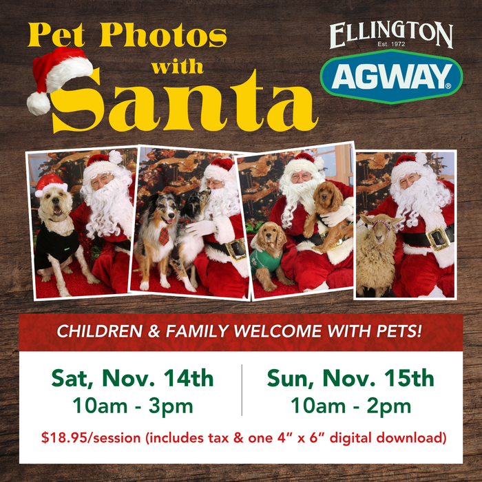 Pet Portraits with Santa