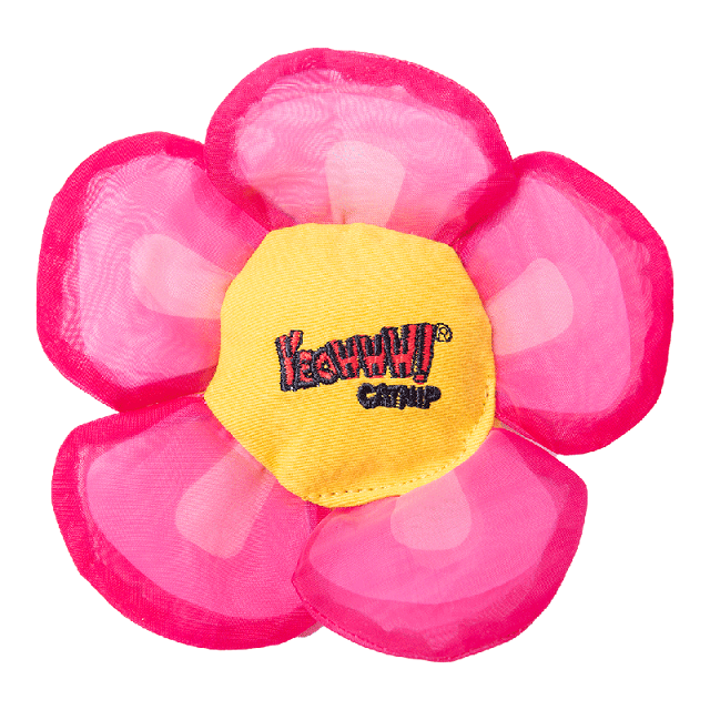 Yeowww! Catnip Daisy Flower Tops, Assorted