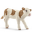 Simmental calf- Schleich Figurine