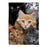 Cats Photo Garden Flag