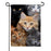 Cats Photo Garden Flag