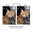 Cats Photo Garden Flag