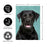 Black Lab Photo Garden Flag