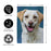 Yellow Lab Photo Garden Flag