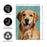 Golden Retriever Photo Garden Flag