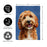Goldendoodle Photo Garden Flag