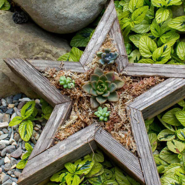 SuperMoss® Spagnum Moss 0.33lb