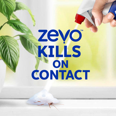 Zevo Trap & Kill Foam Insect Killer 12oz
