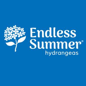 Endless Summer Hydrangea, 2-Gallon
