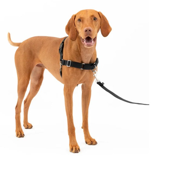 PetSafe Easy Walk Harness  - Black/Silver