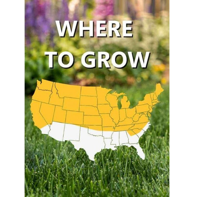 Jonathan Green Black Beauty Tall Fescue Grass Seed