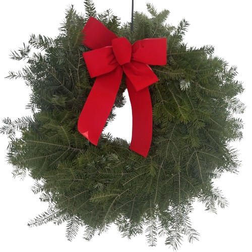 Balsam Fir Wreath With Bow, 12-inch Ring