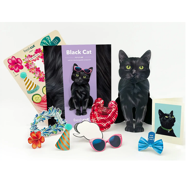 FreshCut Paper Black Cat Pop-Up 3D Greeting Card