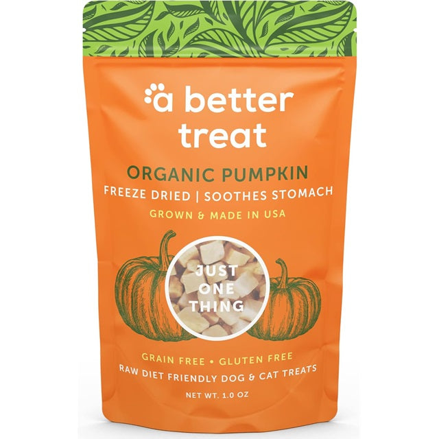 Freeze Dried Organic Pumpkin Dog and Cat Treats — Ellington