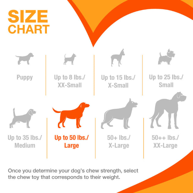 Nylabone Strong Chew Original Bone Large