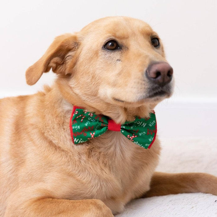 Naughty & Nice Dog & Cat Bow Tie