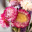Strawflower & Larkspur Mini Dried Floral Bouquet Bundle