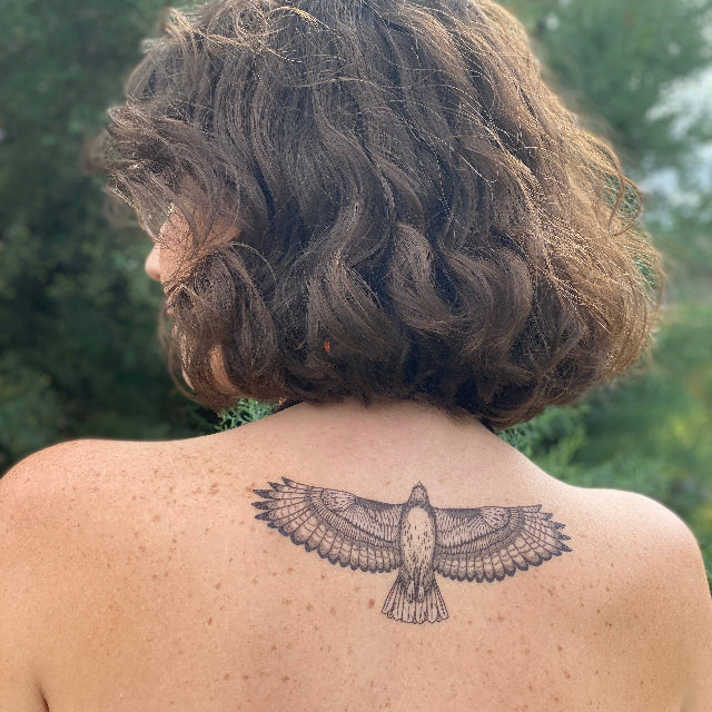 Hawk Temporary Tattoo