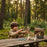 Take Aim! Kids Slingshot & Spinning Target Game