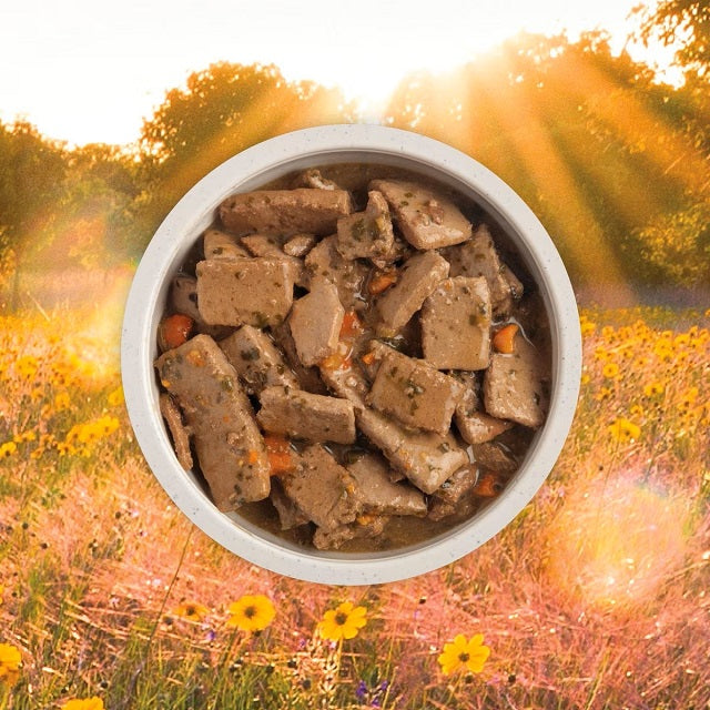 ACANA Premium Chunks Lamb Recipe in Bone Broth Grain-Free Wet Dog Food