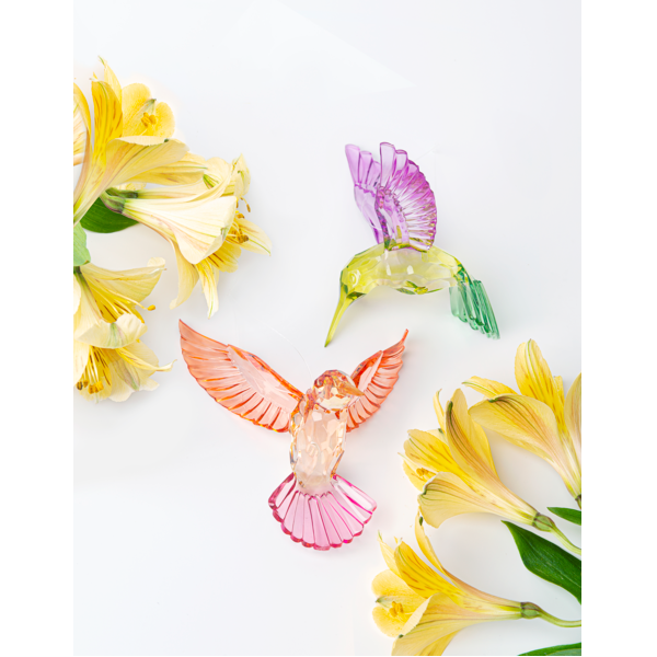 Crystal Expressions Multi-Tone Meadow Hummingbird Ornament, Assorted Colors